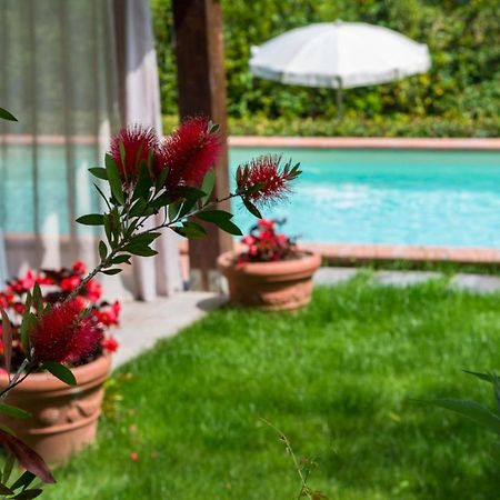 Villa Con Piscina Esclusiva Nel Verde ลุคคา ภายนอก รูปภาพ