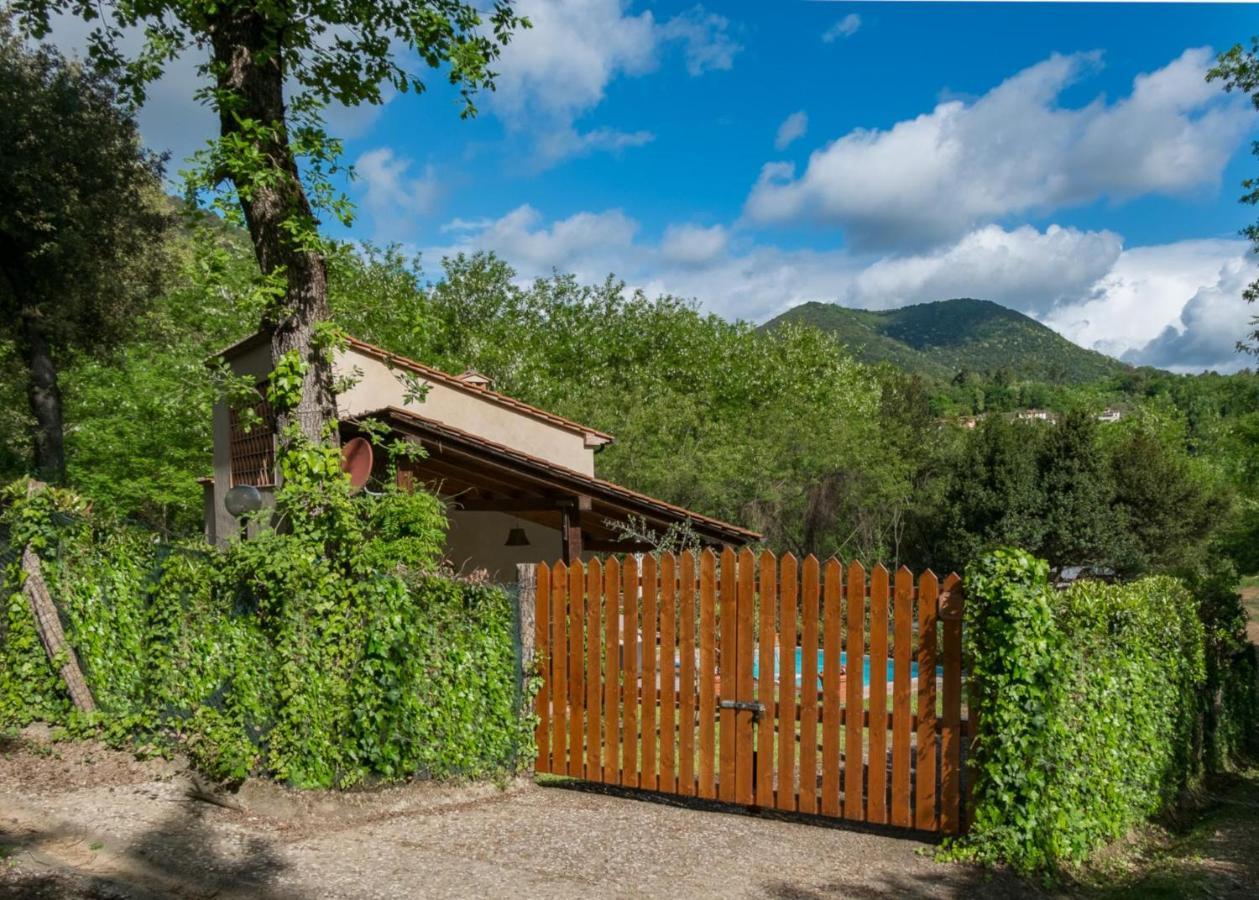 Villa Con Piscina Esclusiva Nel Verde ลุคคา ภายนอก รูปภาพ