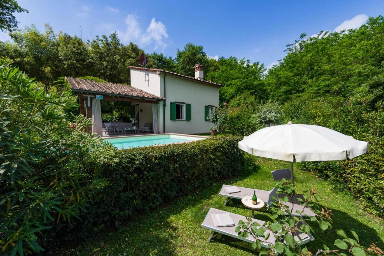 Villa Con Piscina Esclusiva Nel Verde ลุคคา ภายนอก รูปภาพ